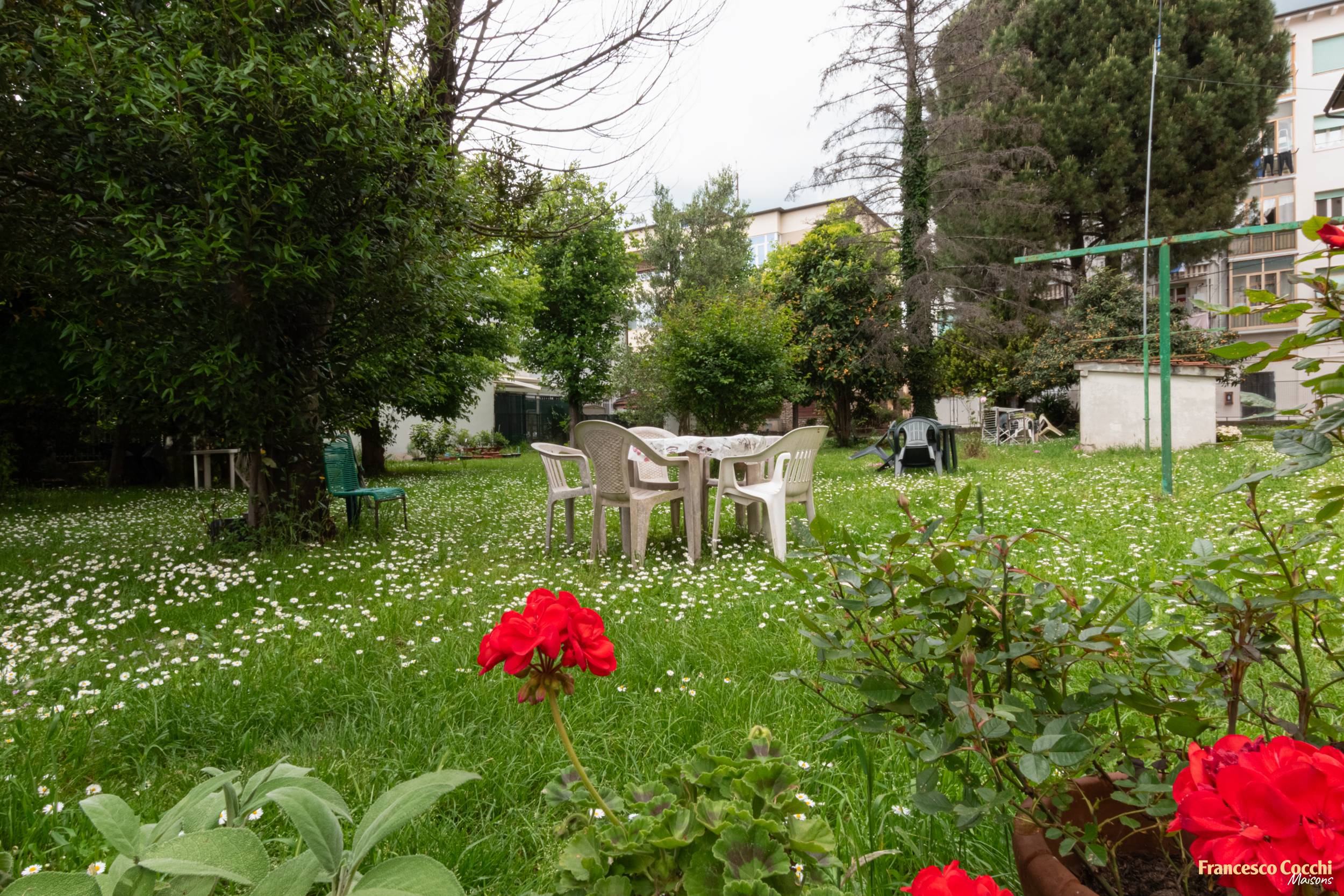 Immobile Rif.12569 - Agenzia Immobiliare Francesco Cocchi Maisons - Prato - Immmobile #17
